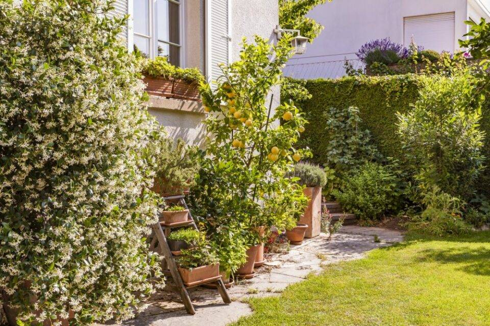 jardin-4-e1584527203569.jpg